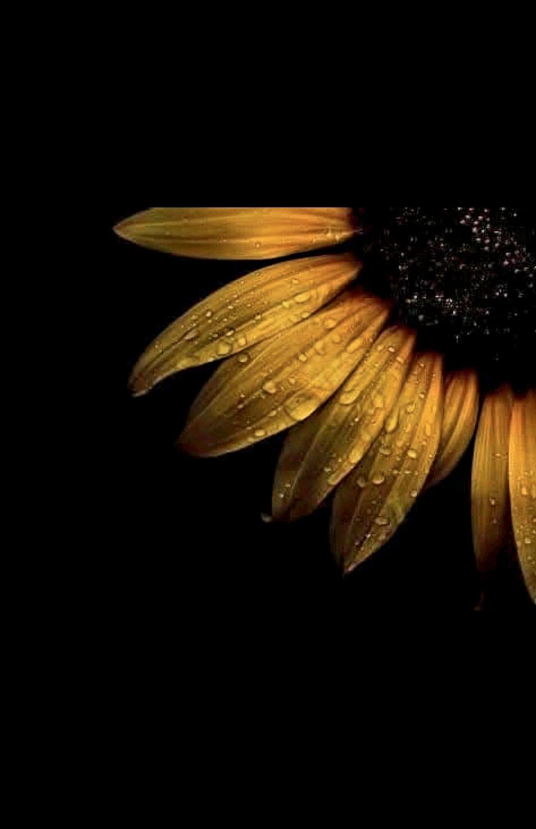 Wonderful Yellow Floral Image (36)