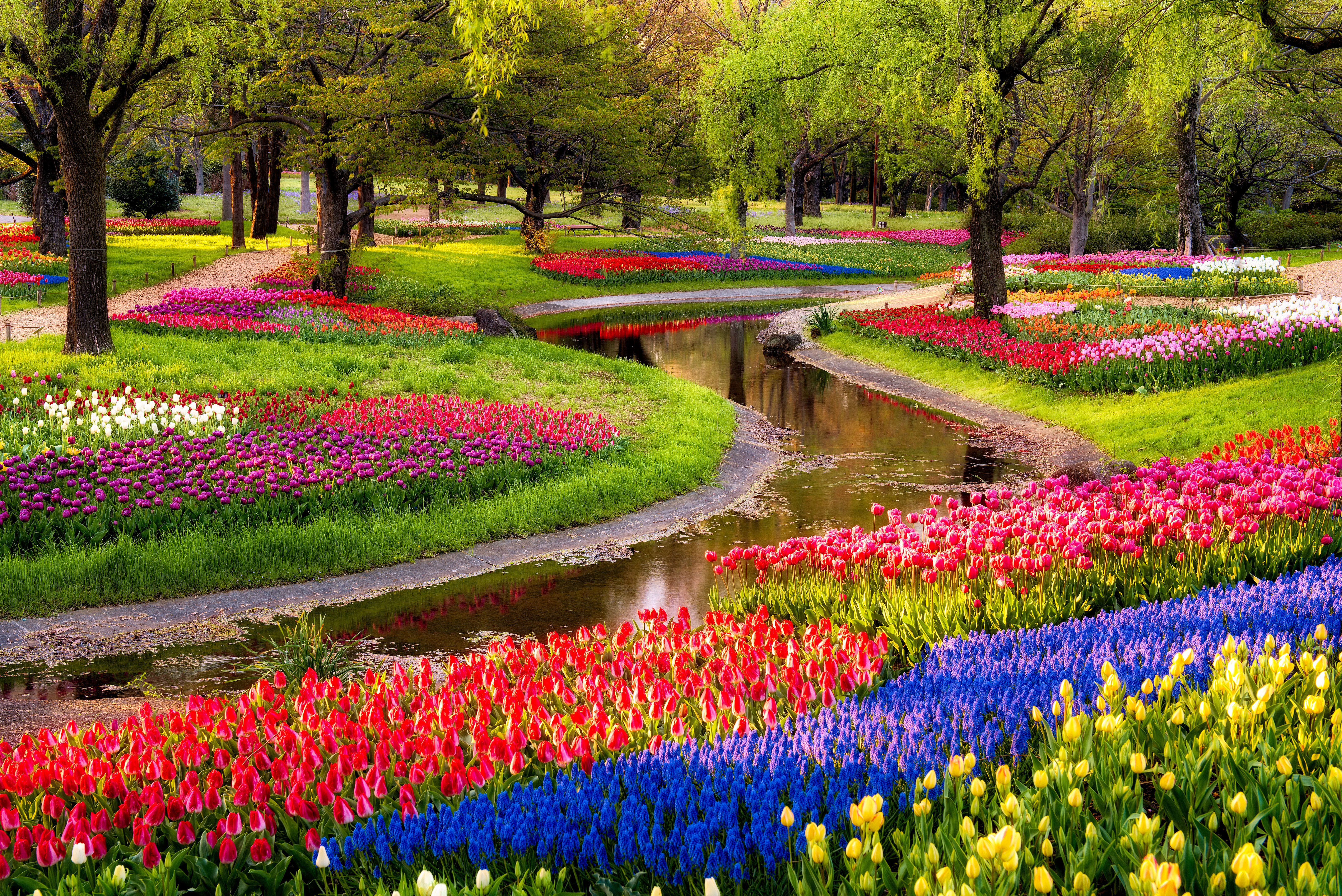 trees flowers pond park wallpaper