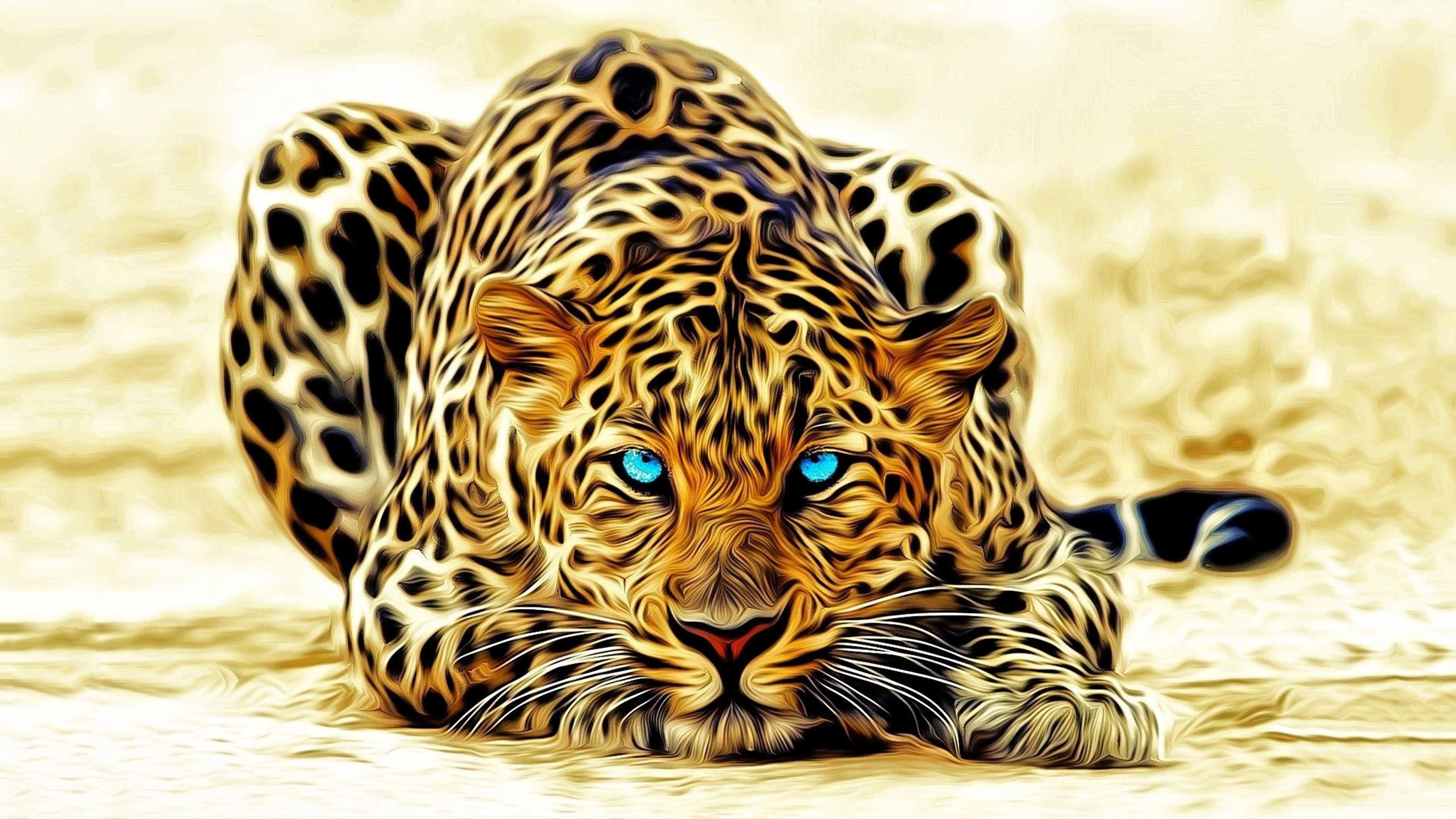 leopard 4k high resolution for desktop download wallpaper