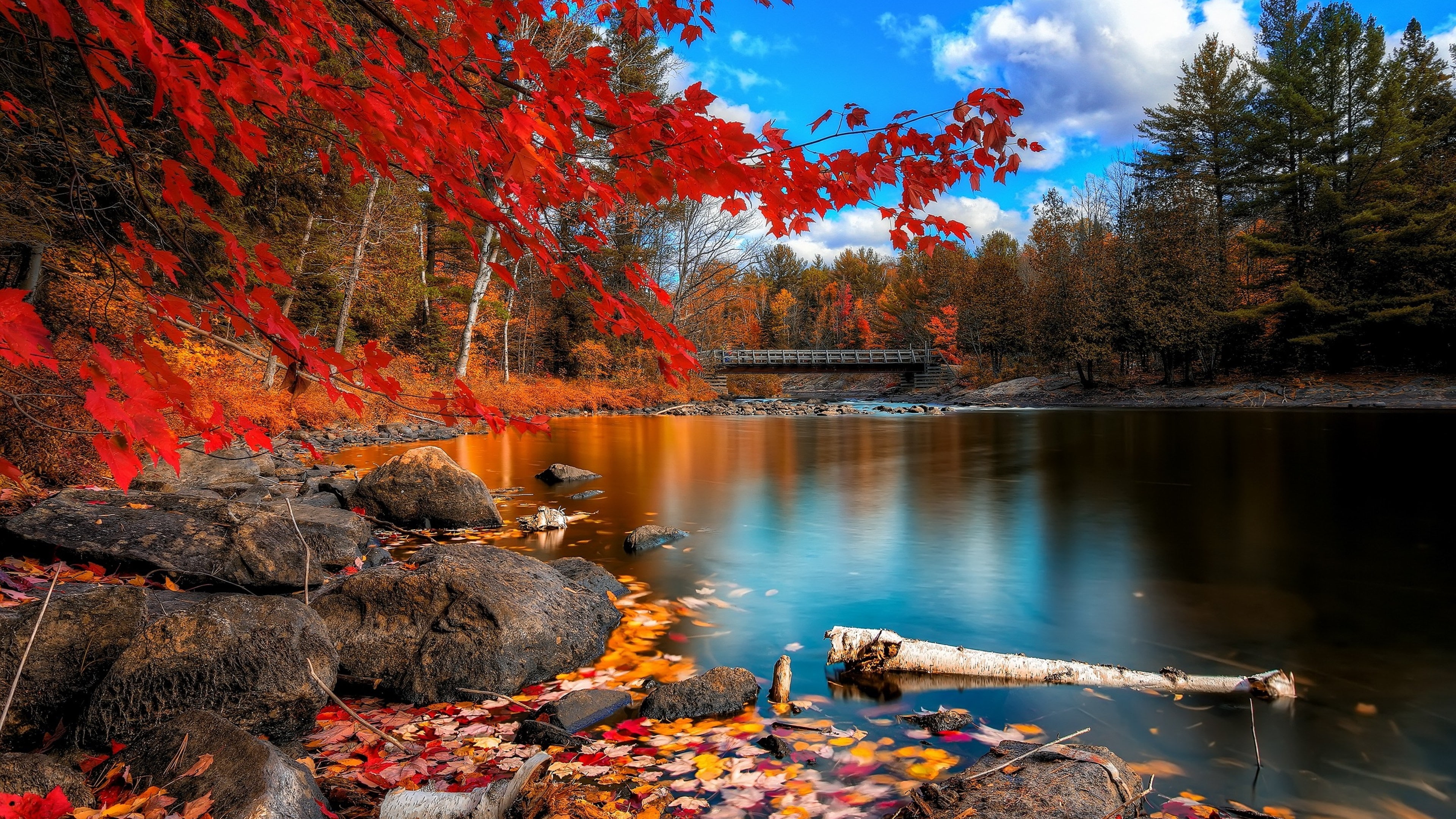 nature 4k high resolution desktop wallpaper