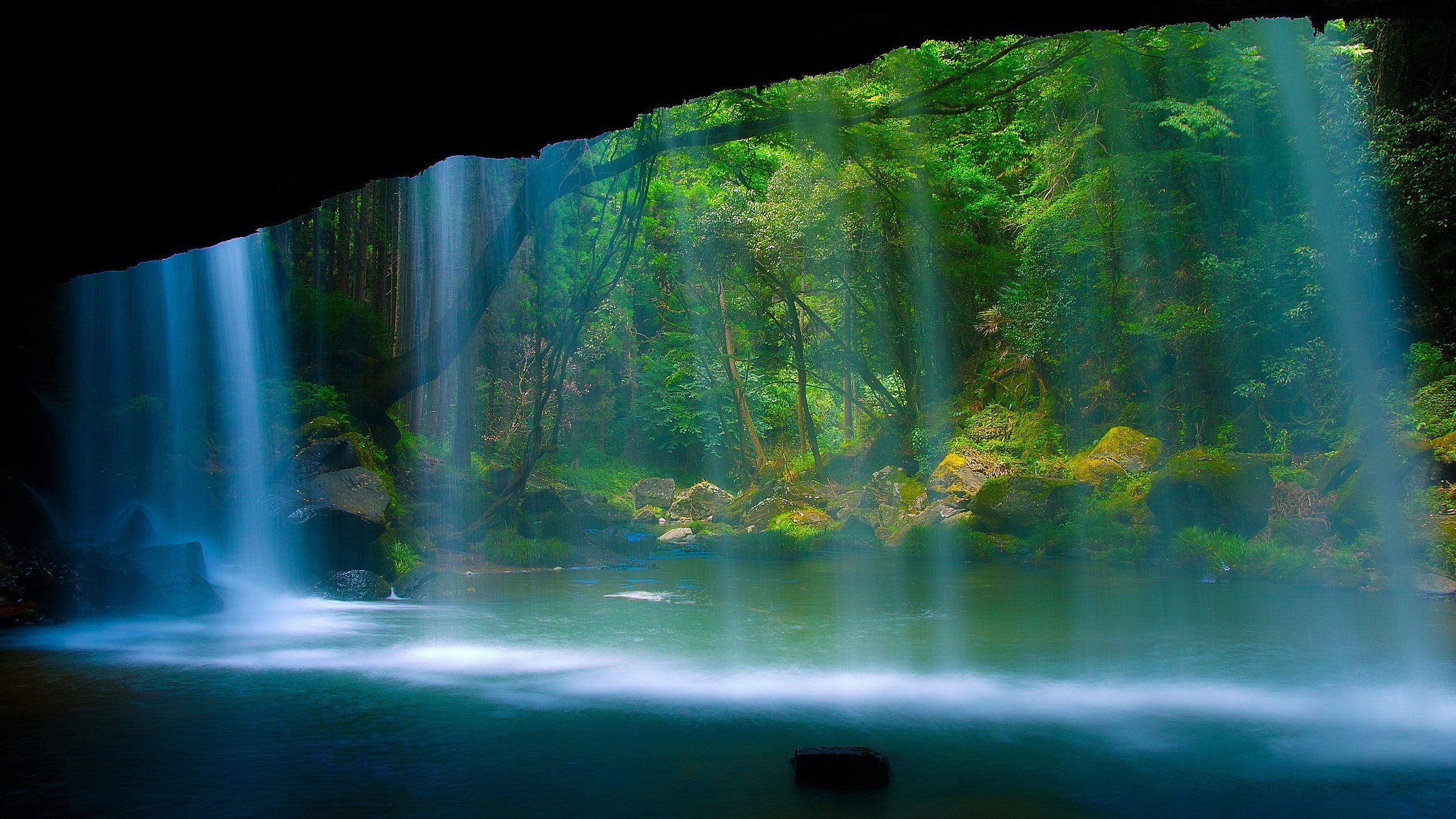 nature beauty desktop hd images 2560x1440 wallpaper