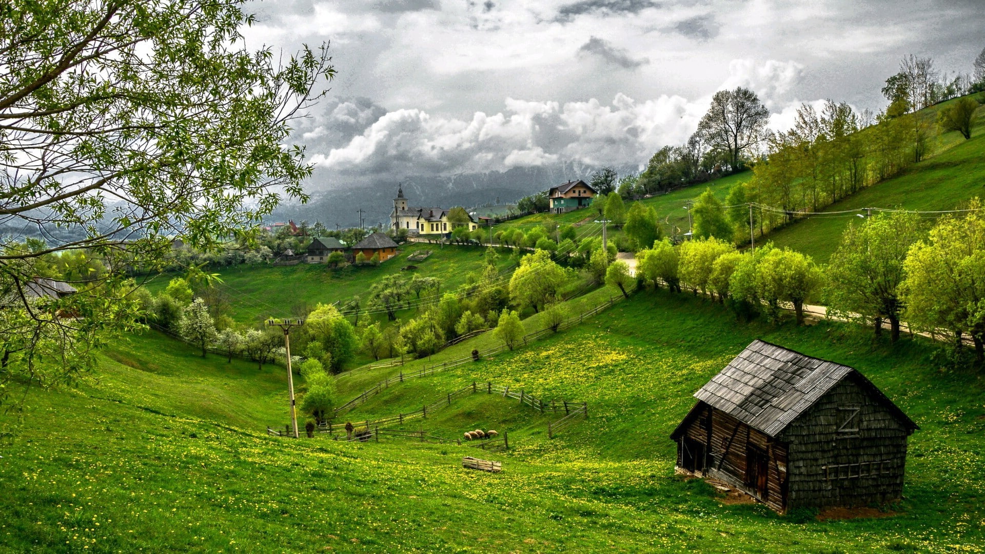 nature landscape grass sky wallpaper