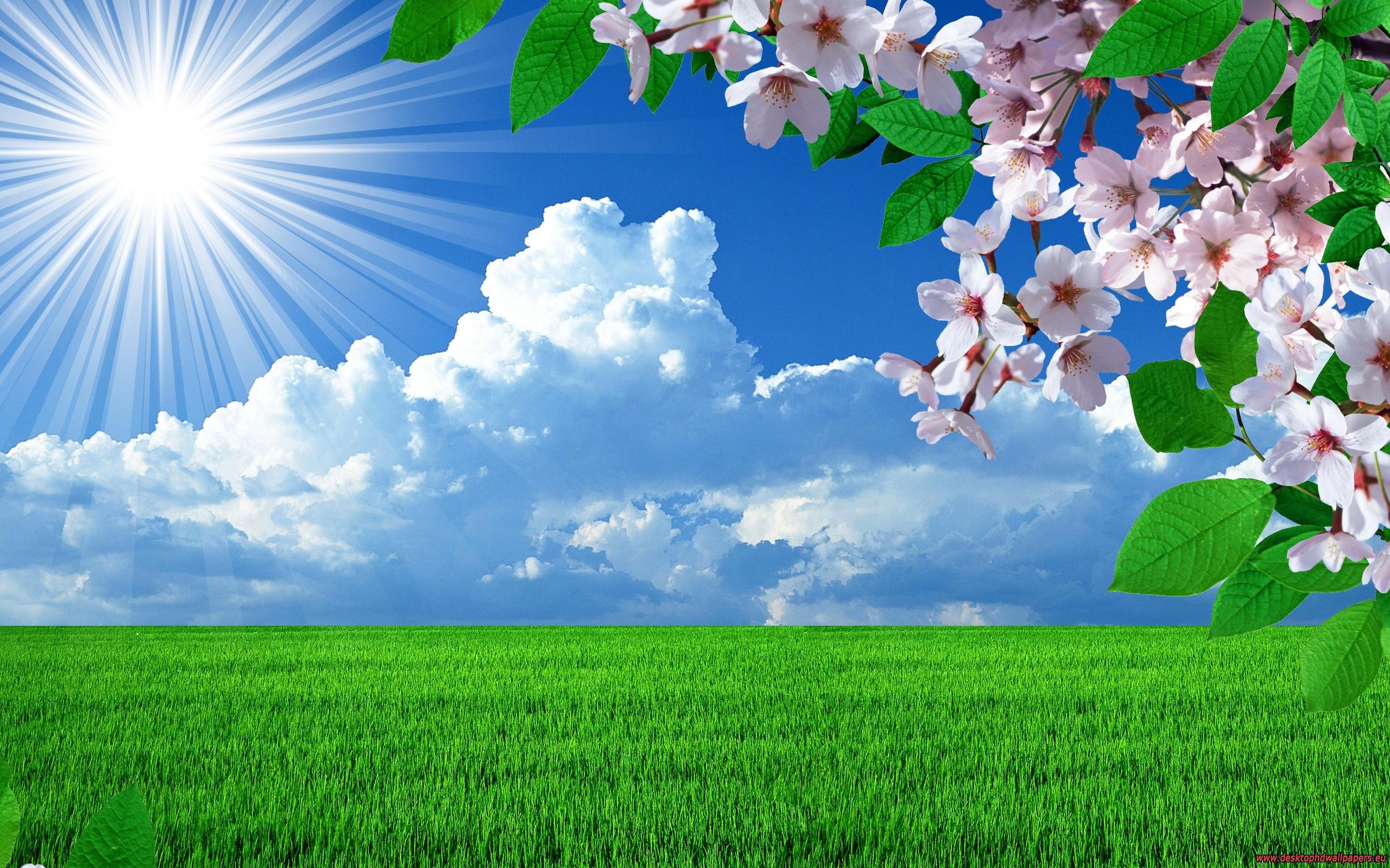 nature spring flowers landscapes trees sky landscape background images wallpaper