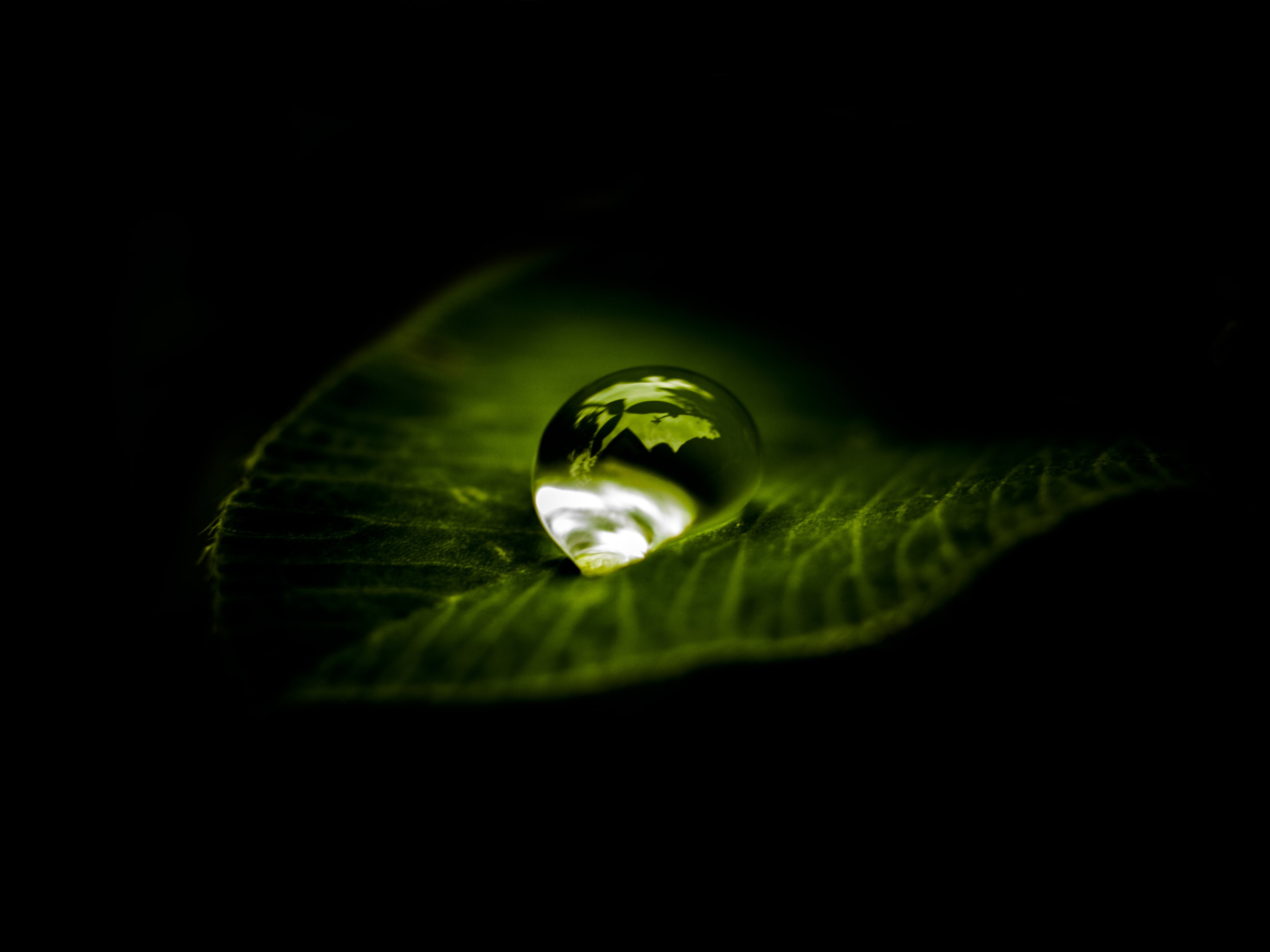 a drop of water zen nature