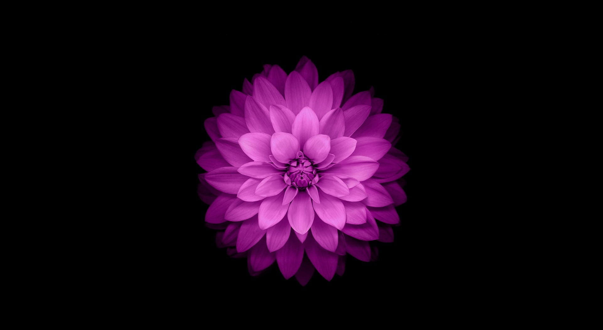 apple ios wallpaper