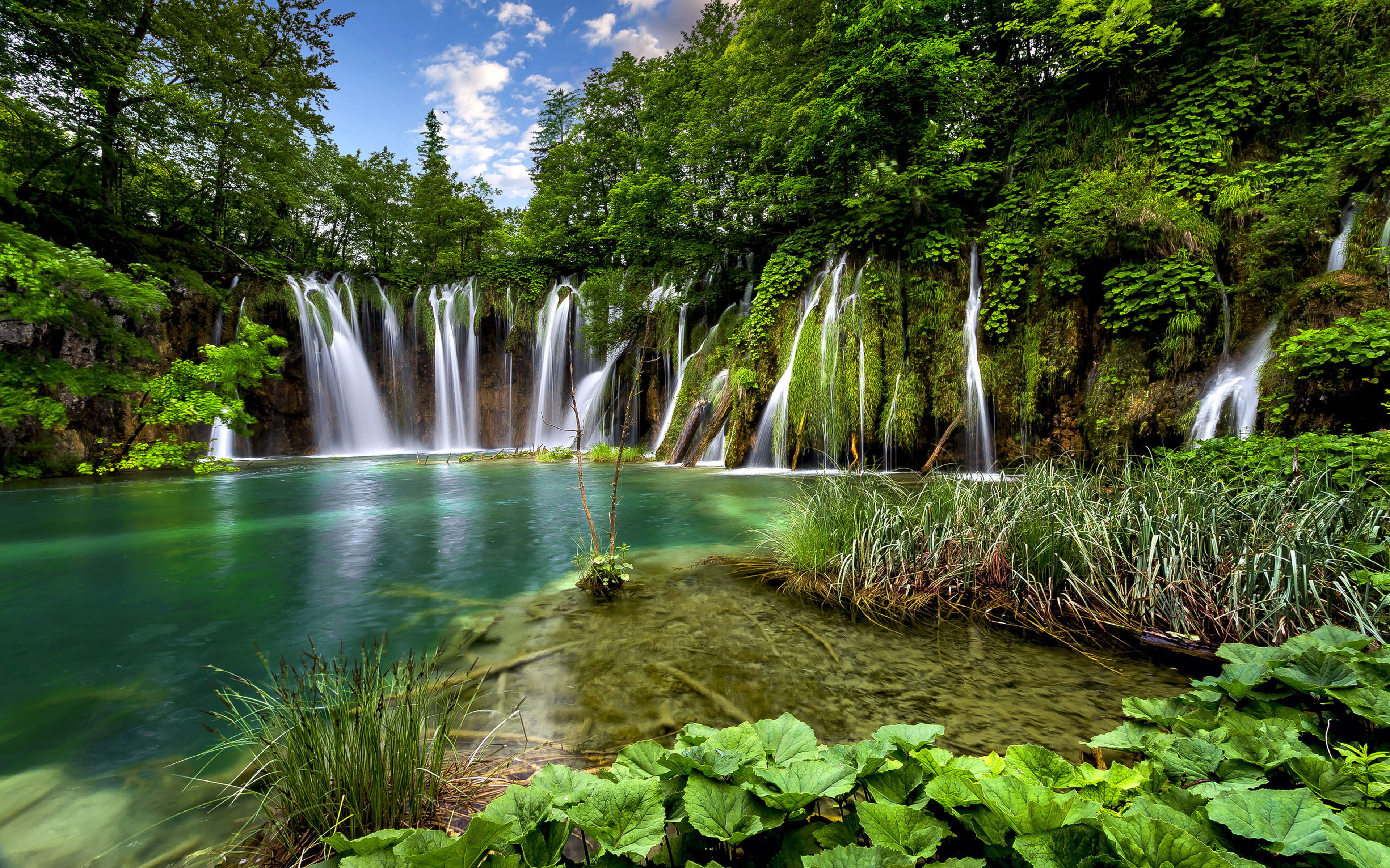Attractive 4K Desktop Wallpaper (21)