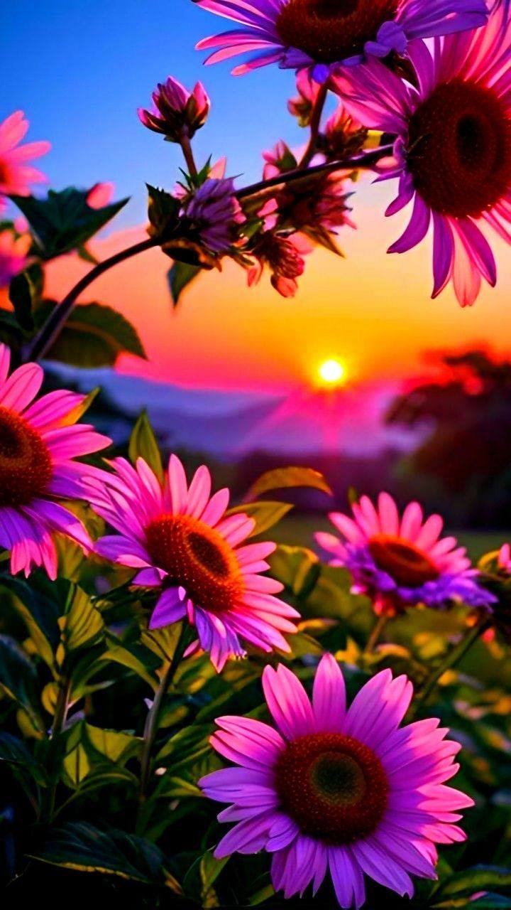Creative Mobile Wallpaper (7)
