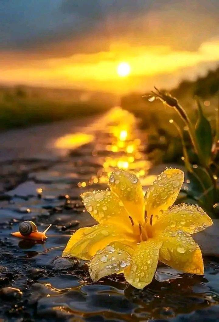 Creative Mobile Wallpaper (26)