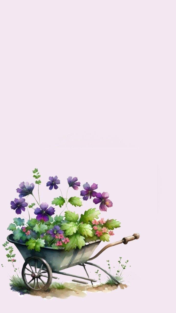 Gardening Floral Art and Background (9)