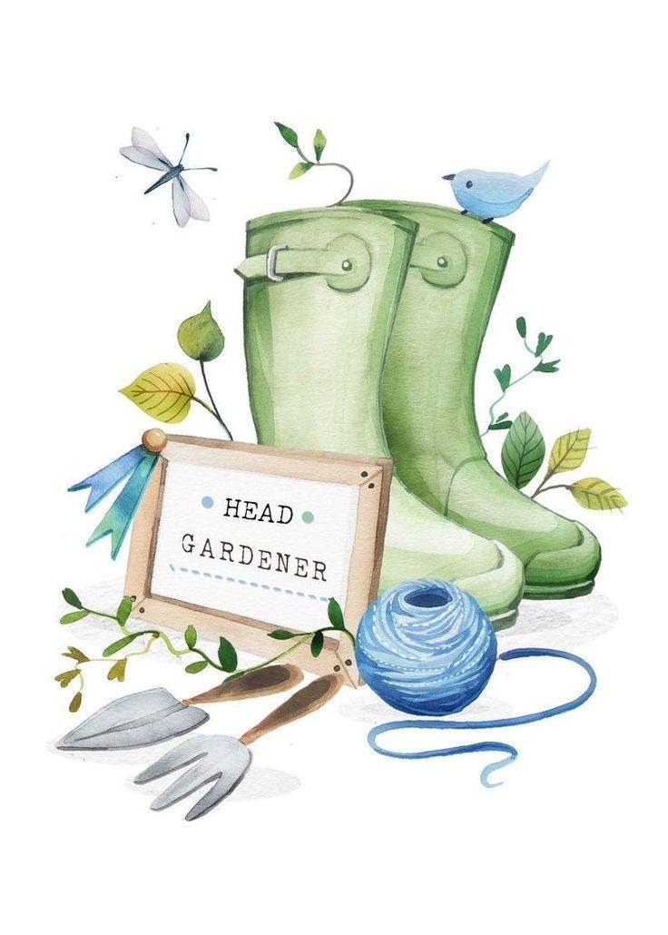 Gardening Floral Art and Background (28)