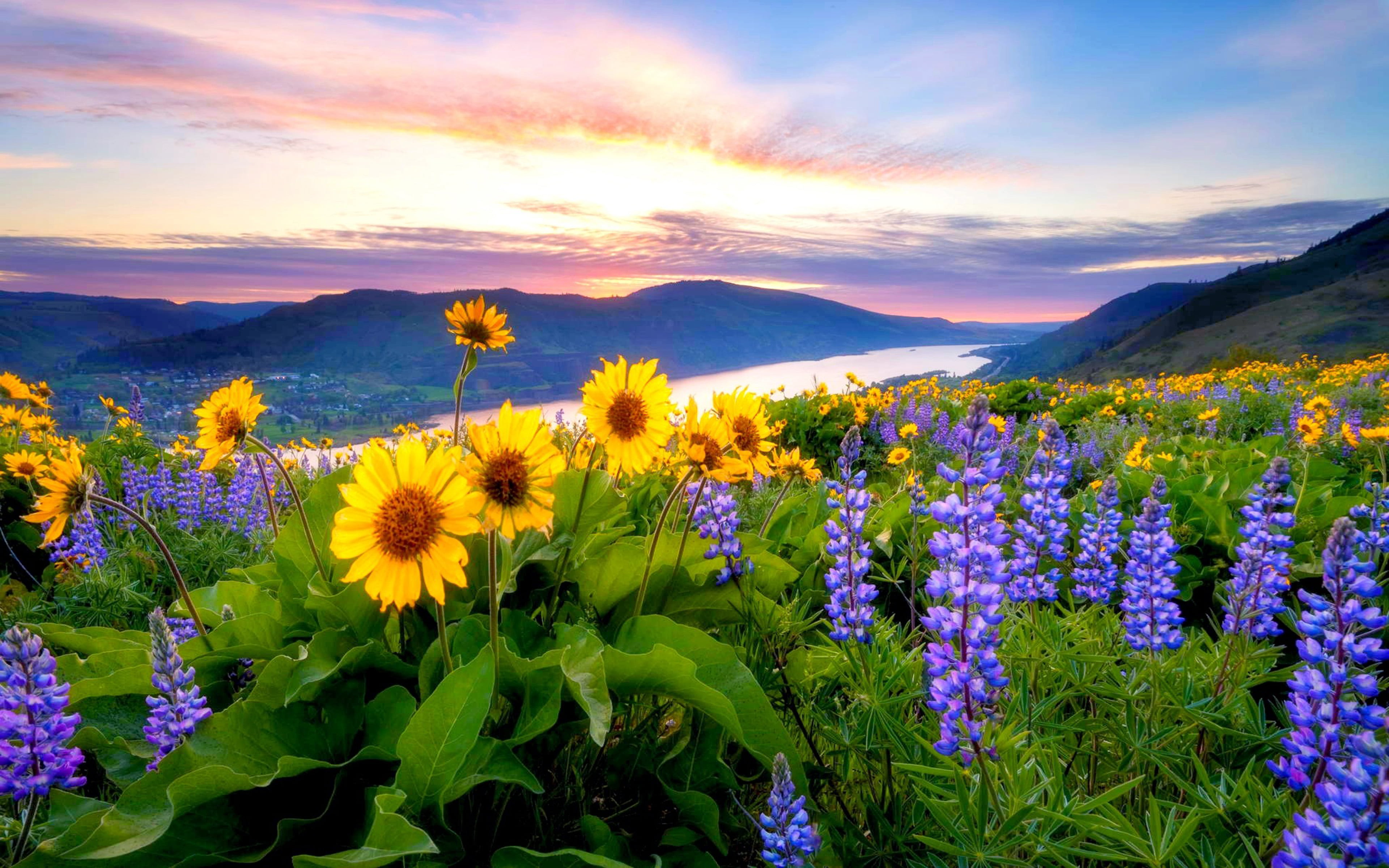 Attractive 4K Desktop Wallpaper (25)
