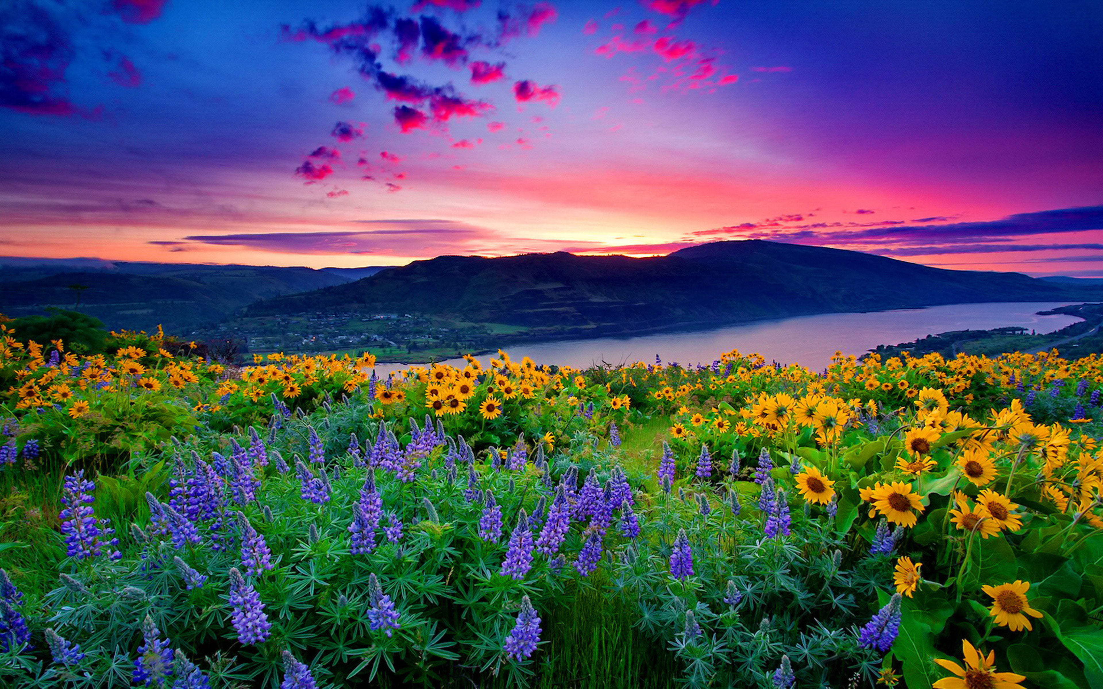 Attractive 4K Desktop Wallpaper (26)