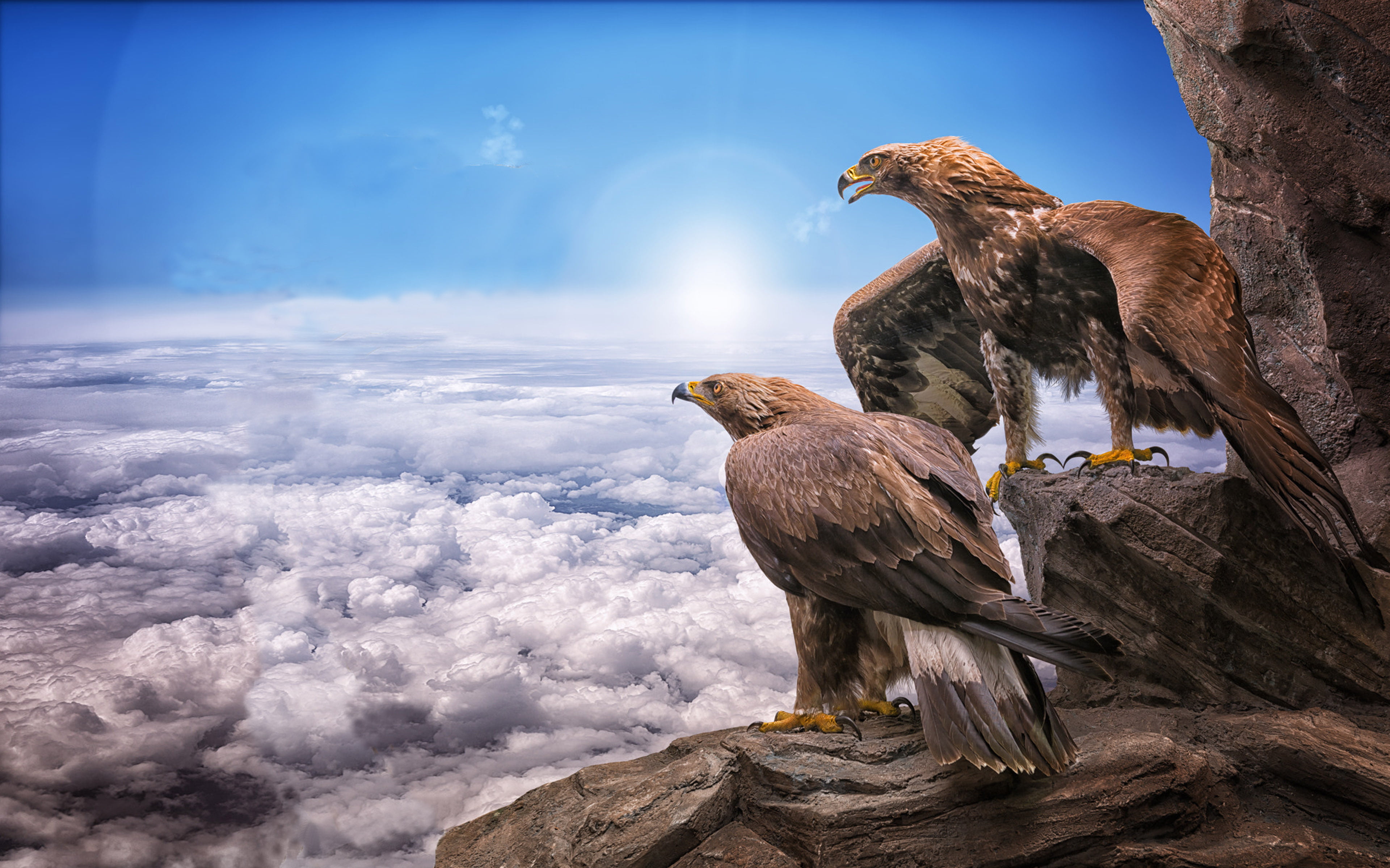Attractive 4K Desktop Wallpaper (33)