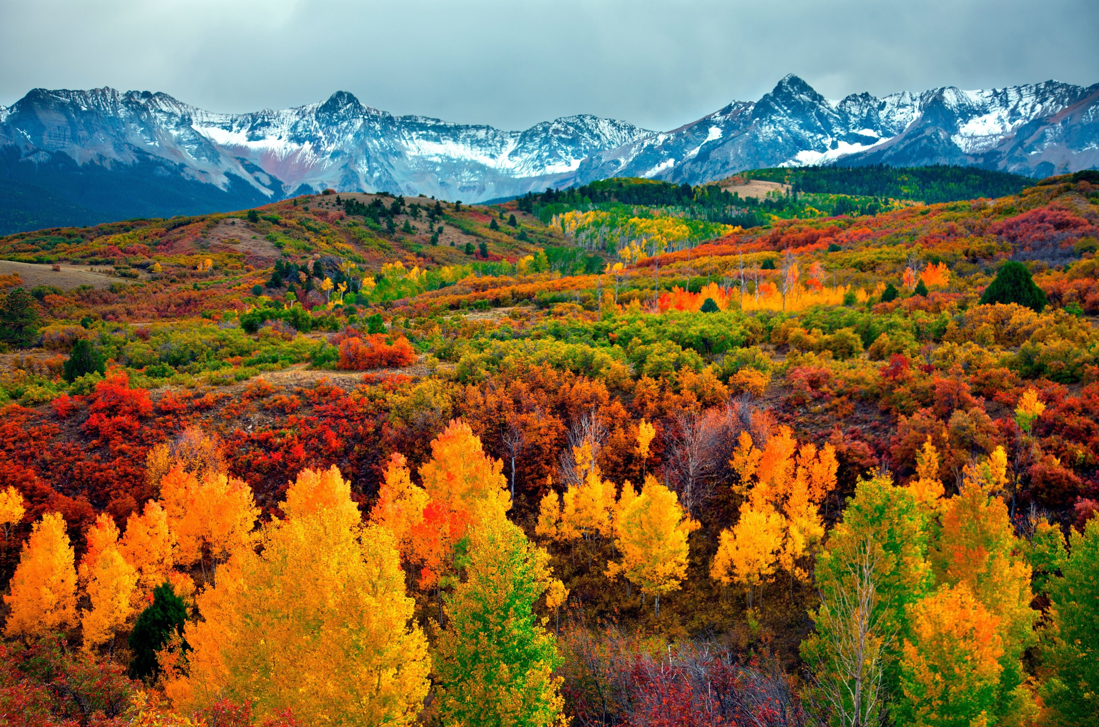 autumn 4k hd desktop download wallpaper