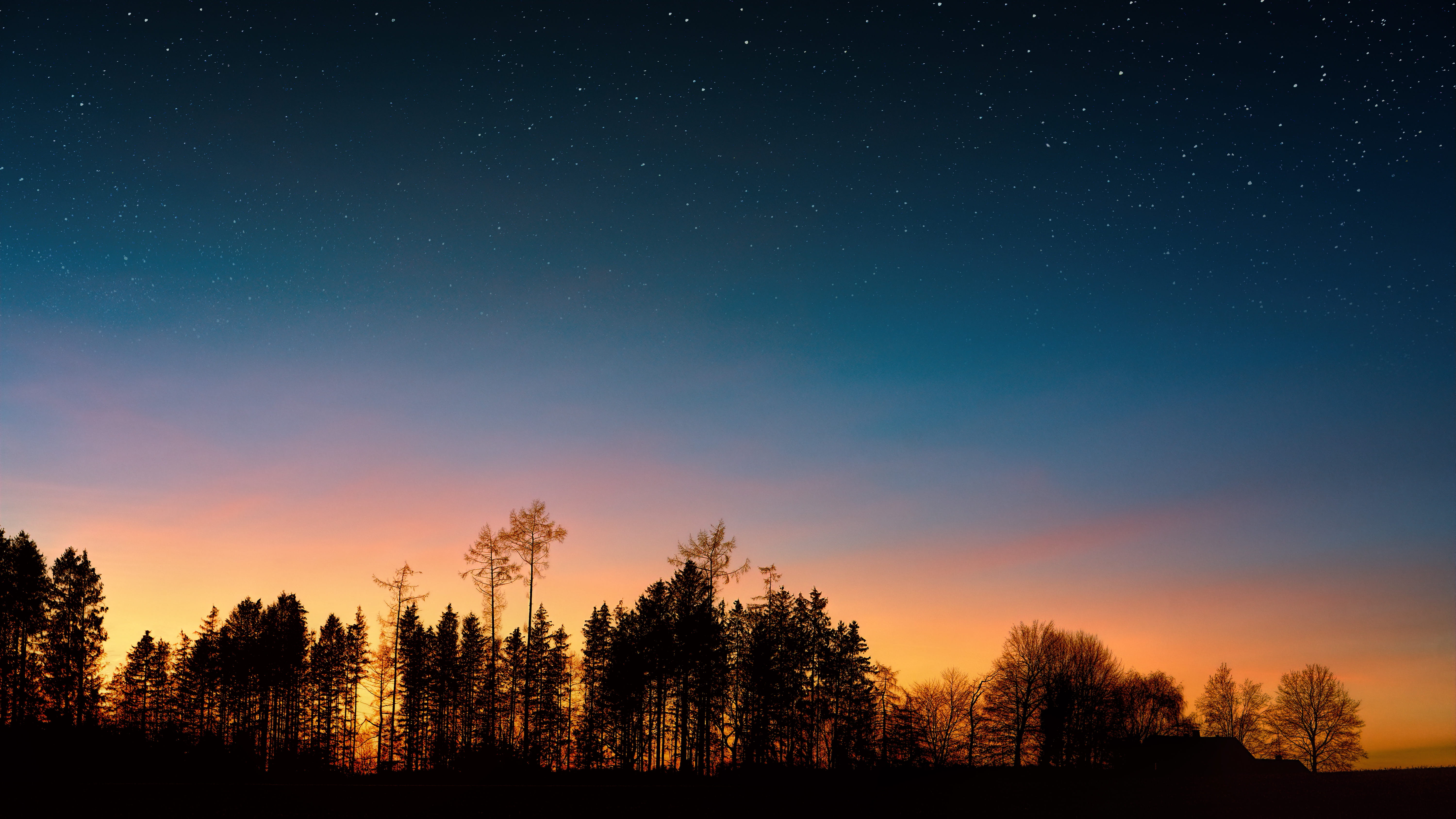 backlit dawn desktop backgrounds wallpaper