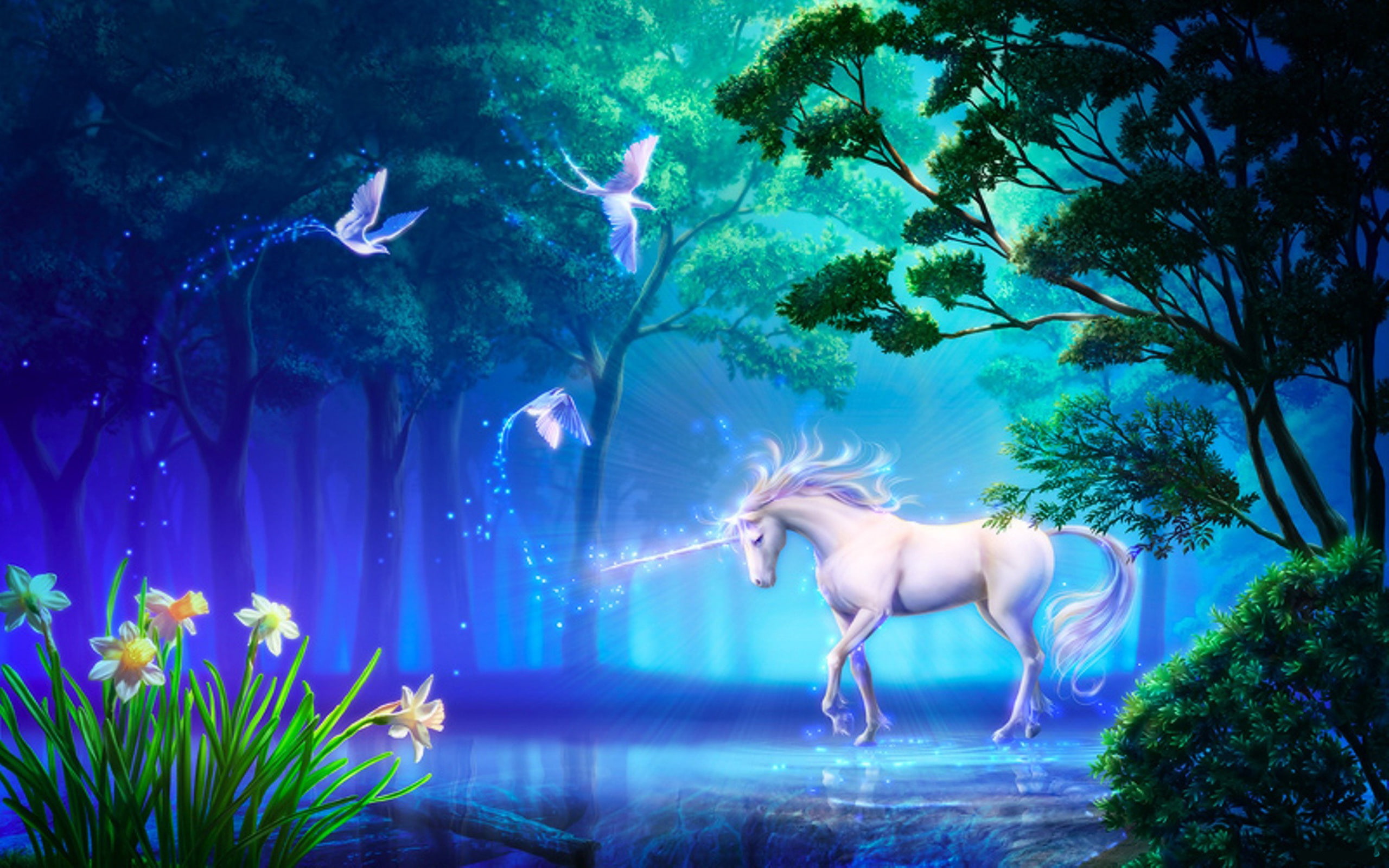 beautiful unicorn in forest fantasy computer desktop wallpapers hd 2560×1600 wallpaper