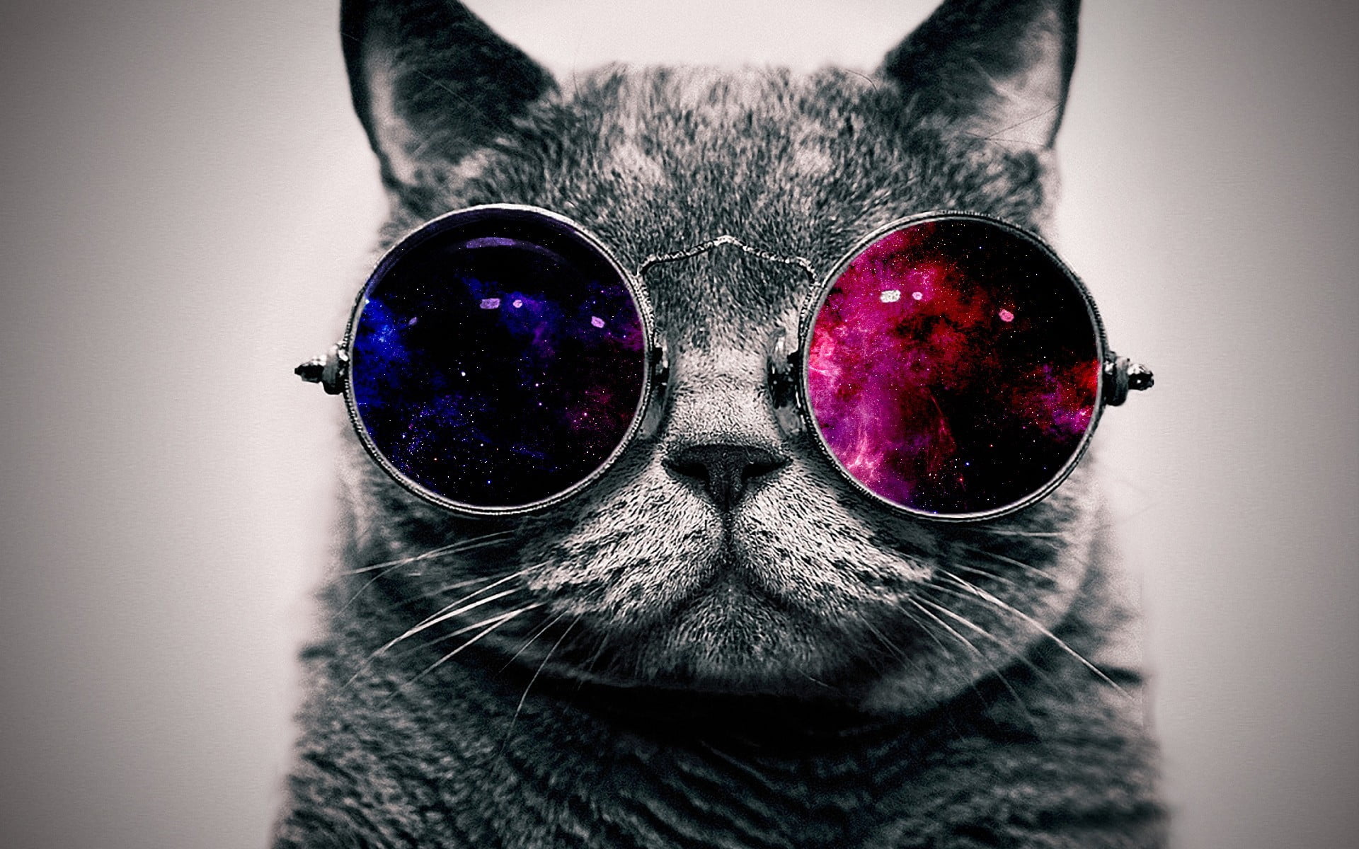 cat glasses space abstract wallpaper