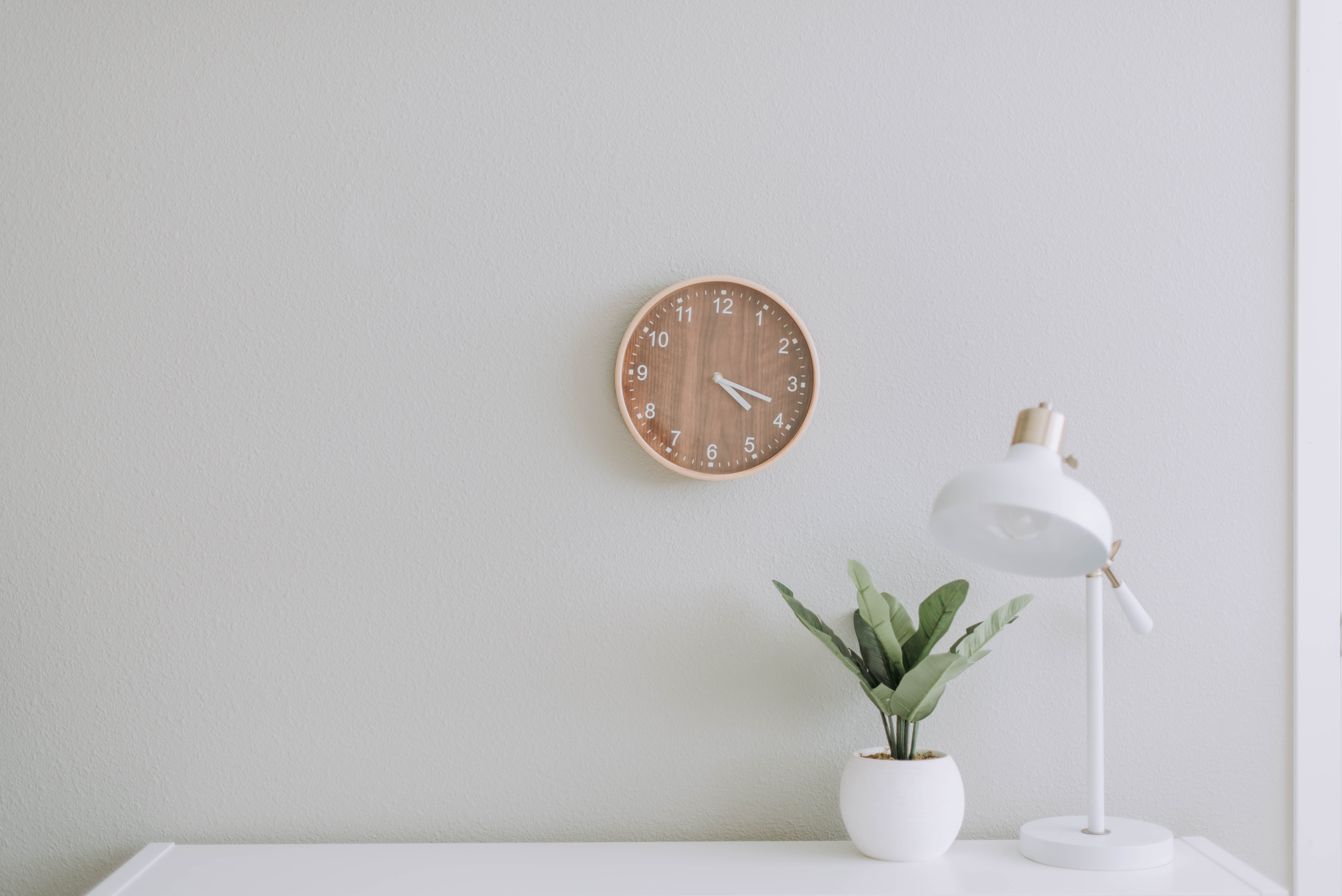 clock wall lamp potted plant