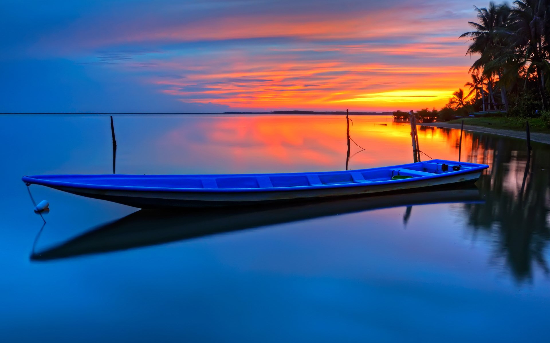 computer desktop full screen nature pics 1920x1200 wallpaper