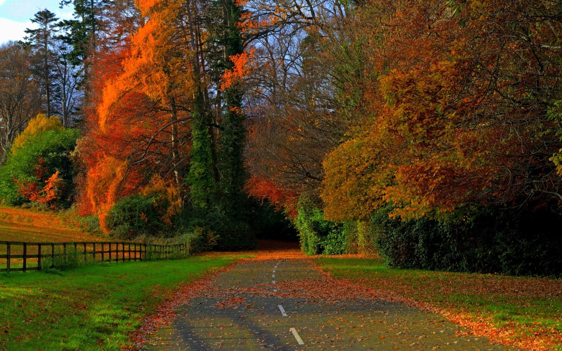 computer desktop full screen nature pics 1920x1200 wallpaper b2f12260dd062e6b9af8825550f8a922