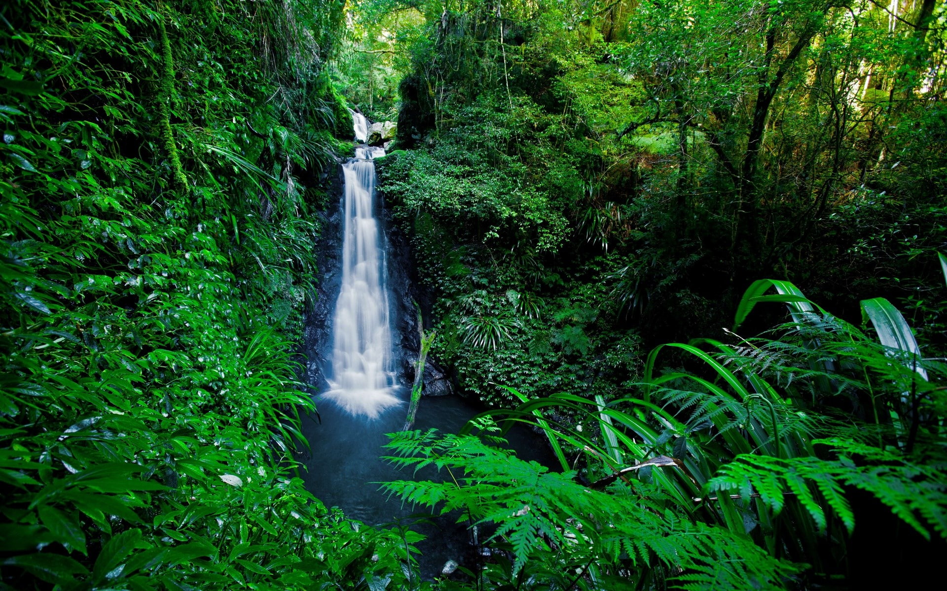 computer desktop full screen nature pics 1920x1200 wallpaper d24112107d066e3bca1862c570b83992