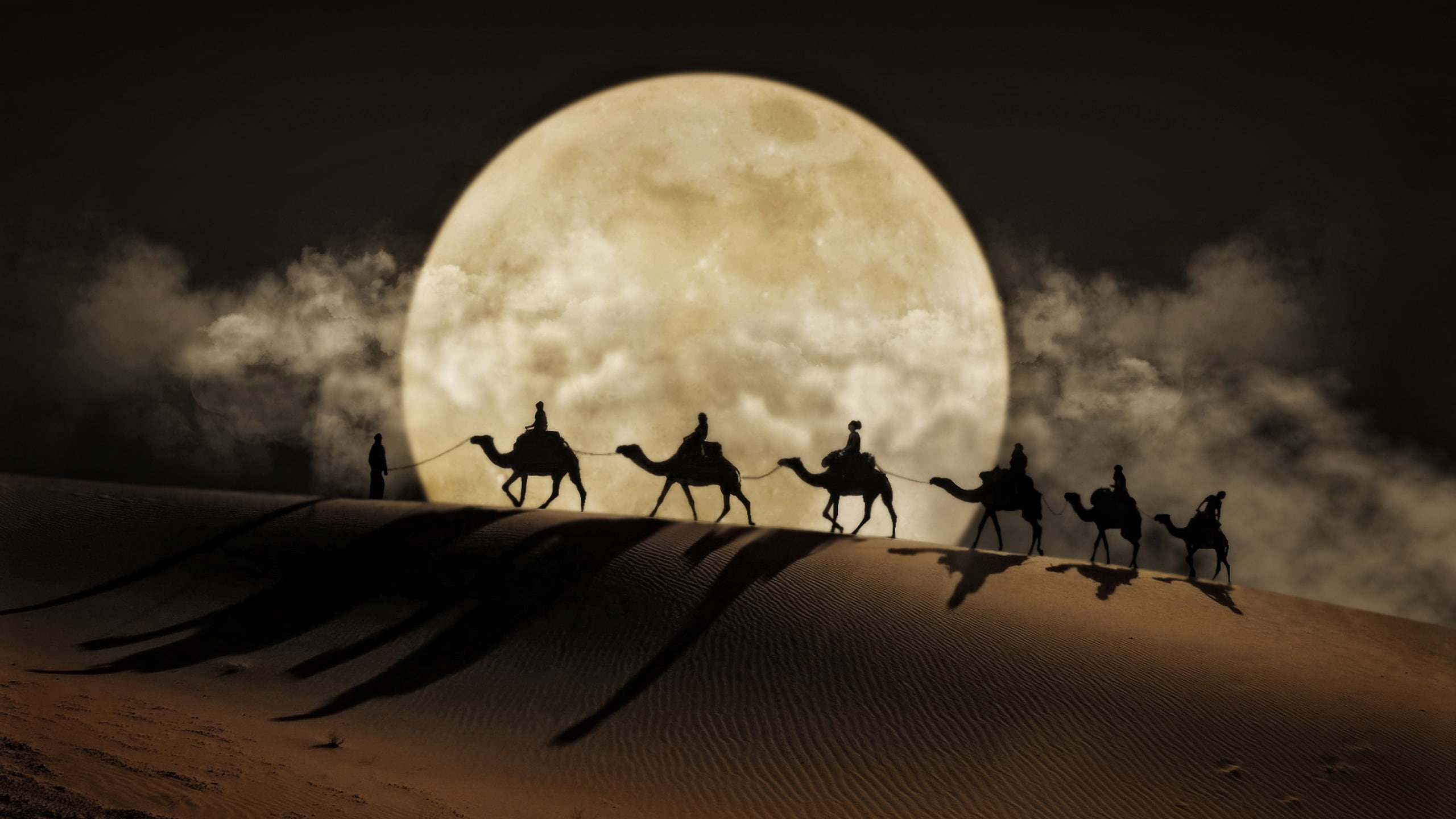 desert moon camel art desktop wallpaper hd for mobile phones and laptops wallpaper 6b161c6db3a19f7915544b895d1cfc90