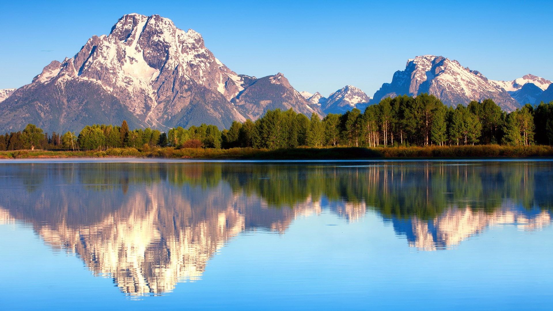 desktop background picture nature 1920x1080 wallpaper 0980c8fdb13a6dfb7657f82f9071463d