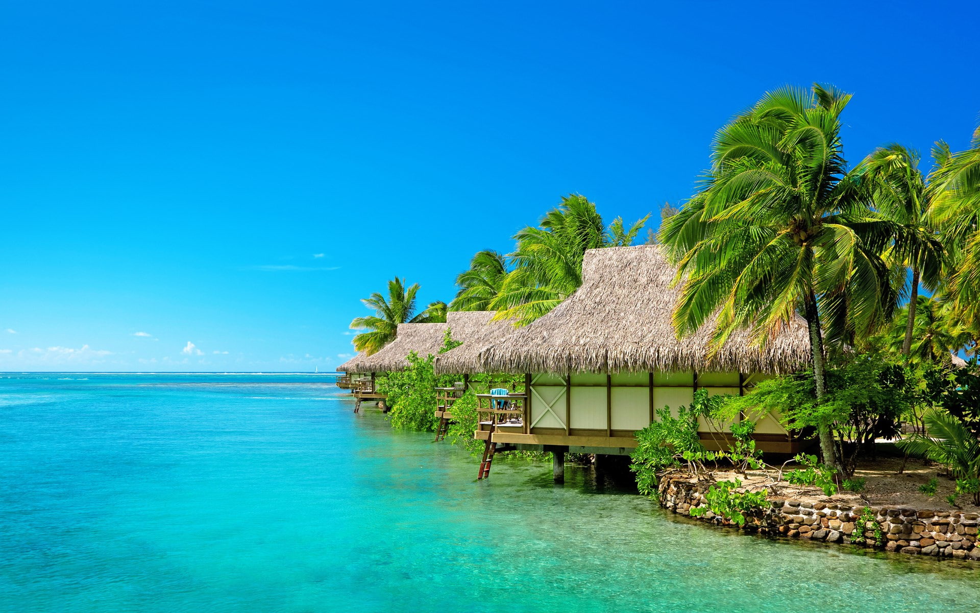 desktop backgrounds hd nature background 1920x1200 wallpaper f281d2600de6cefbba0852f530a8c9a2