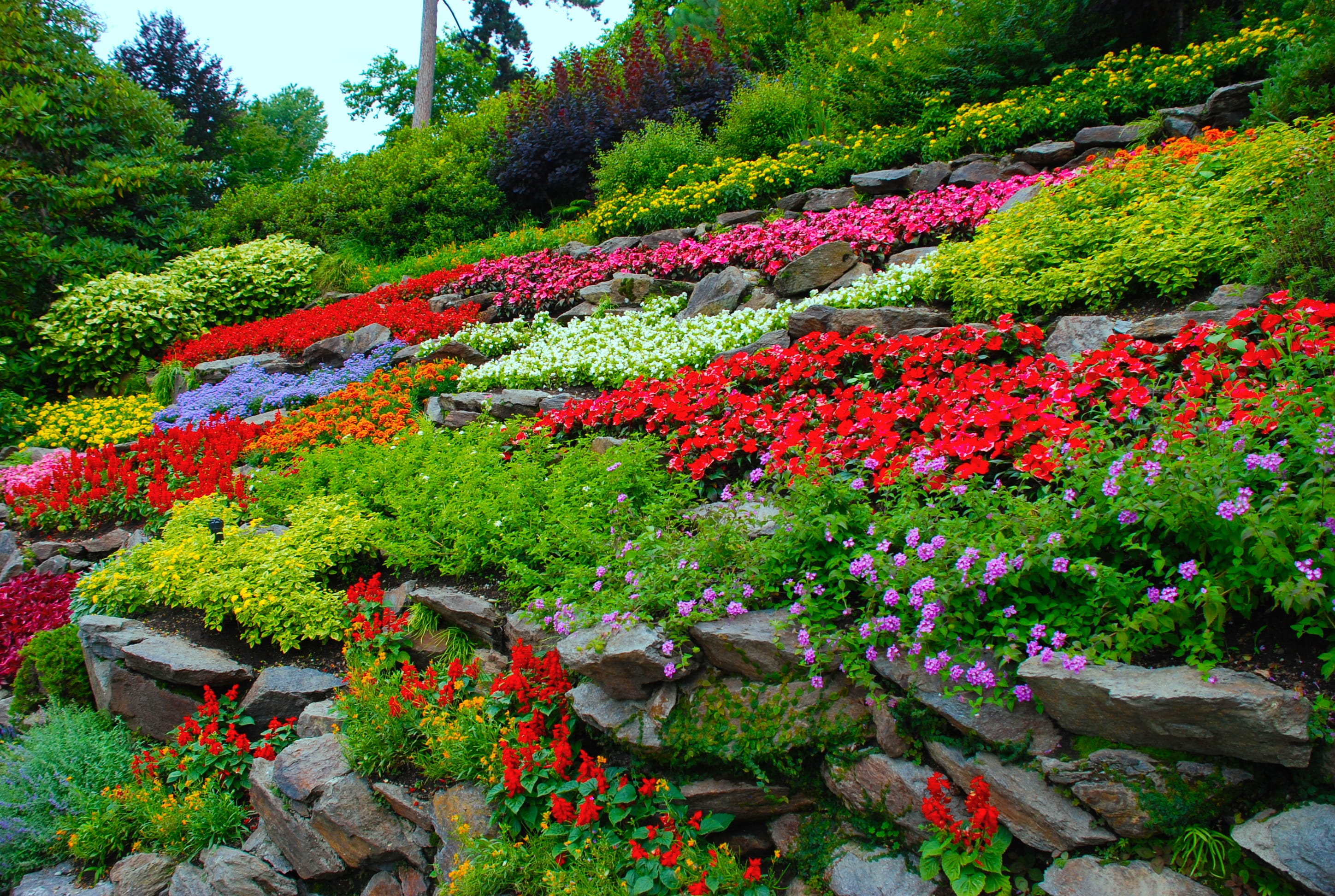 flower garden nature spring 94d49bfb56b3c666a289fc8ef48d9c56