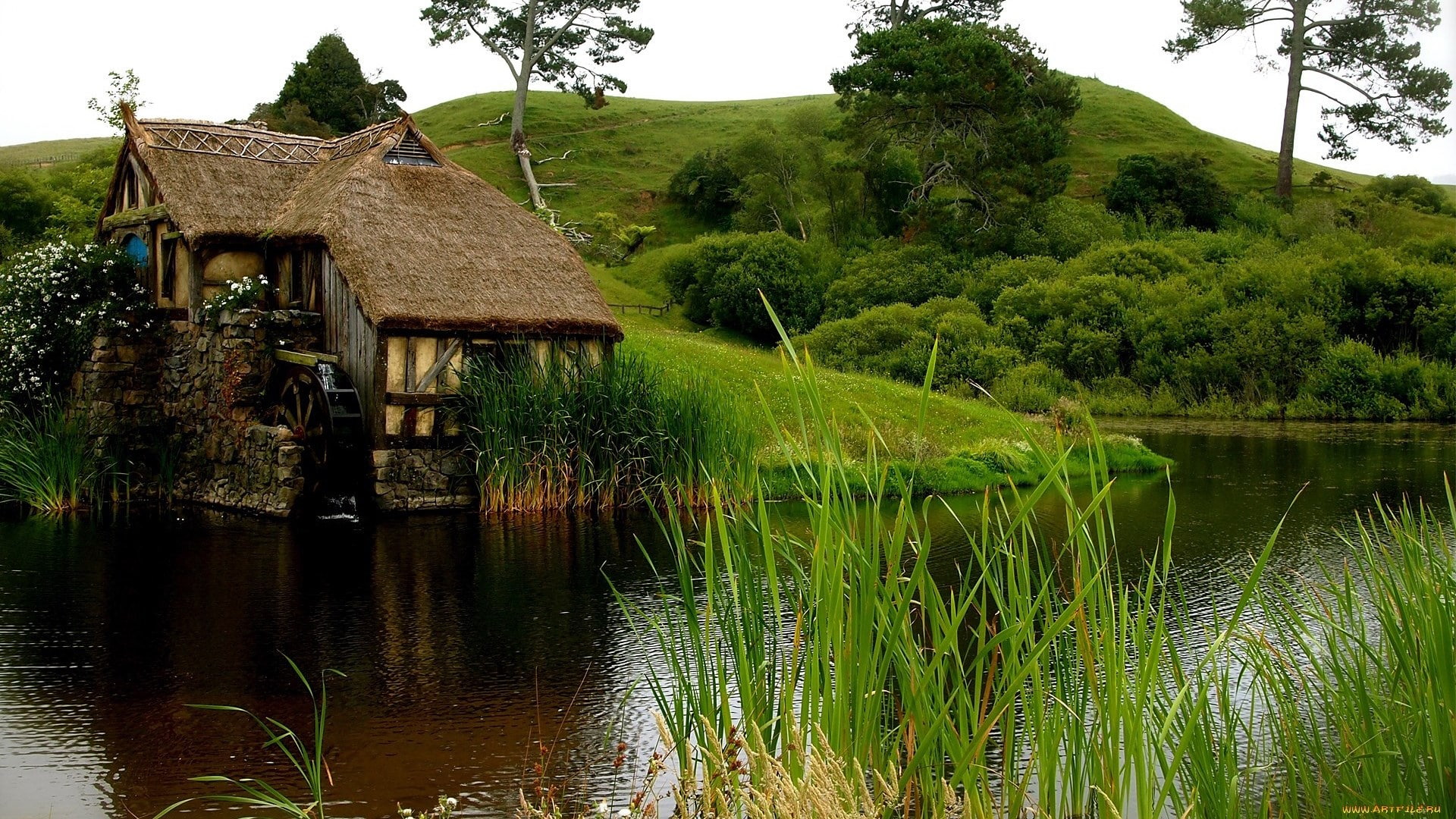 Full size for desktop nature pictures 1920x1080 wallpaper