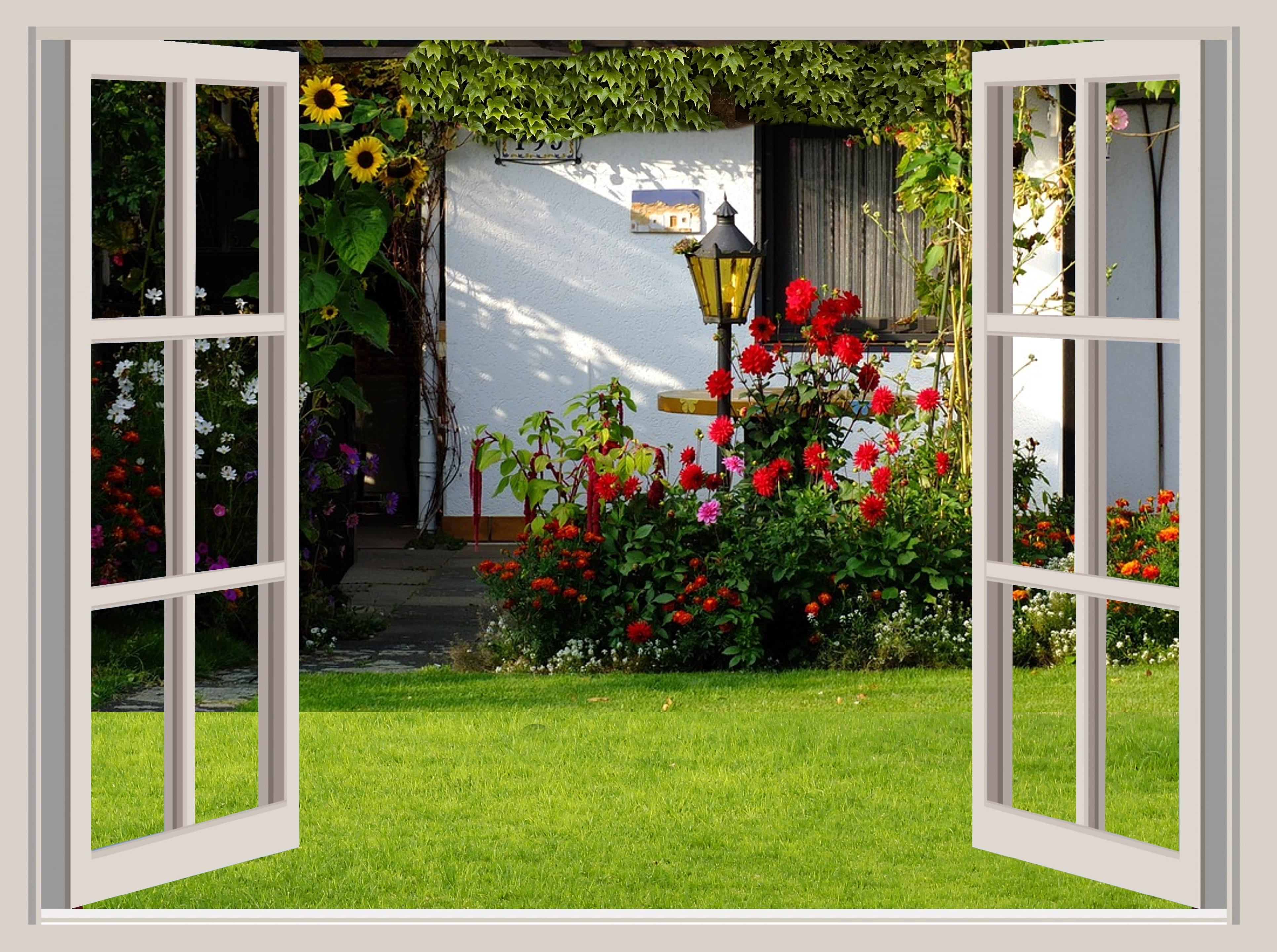 Garden garden shed flowers home