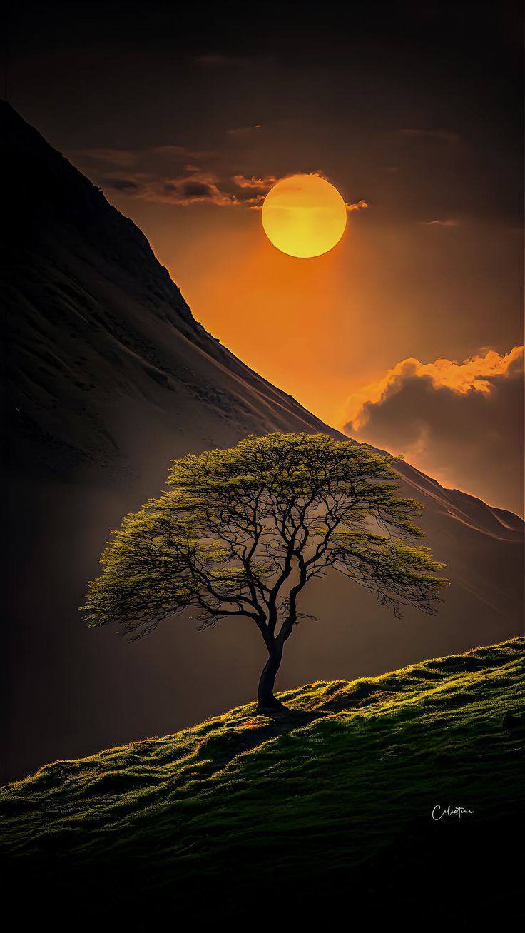 Awesome Graphical Background (9)