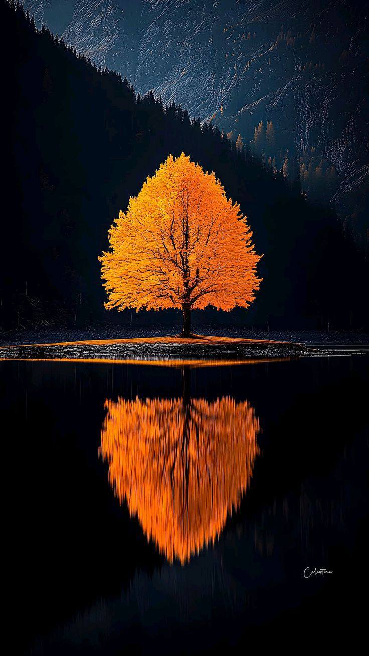 Awesome Graphical Background (38)