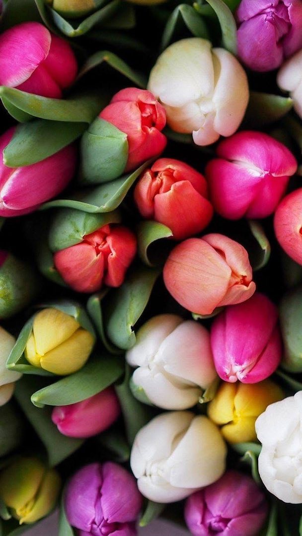 Awesome Floral Natural wallpaper (30)