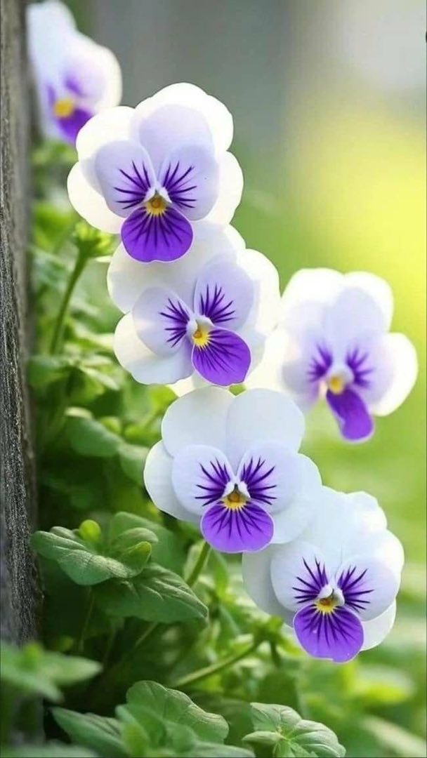 Awesome Floral Natural wallpaper (34)