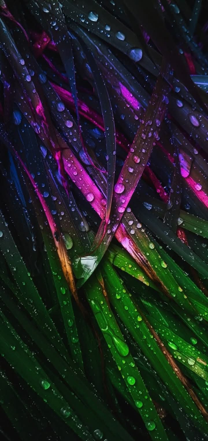 Awesome Floral Natural wallpaper (37)