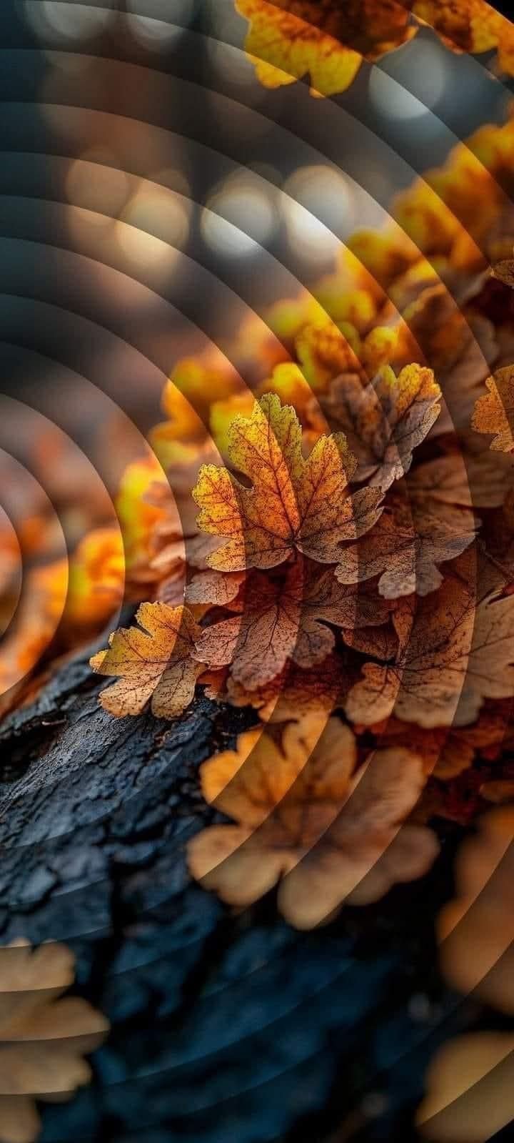 Awesome Floral Natural wallpaper (44)