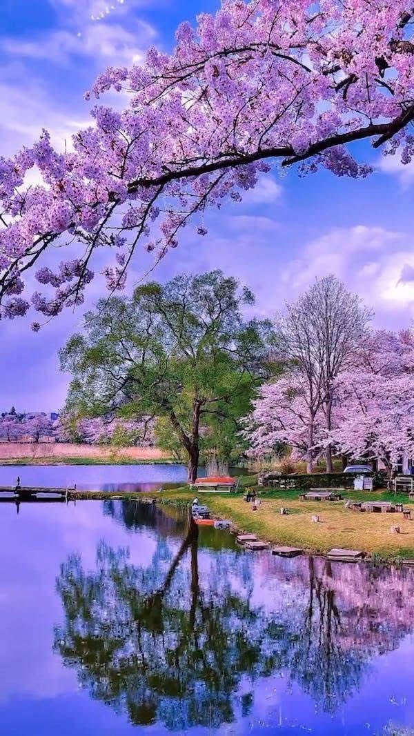 Awesome Floral Natural wallpaper (60)
