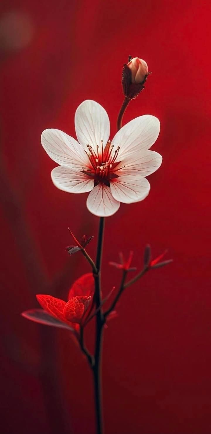 Awesome Floral Natural wallpaper (63)