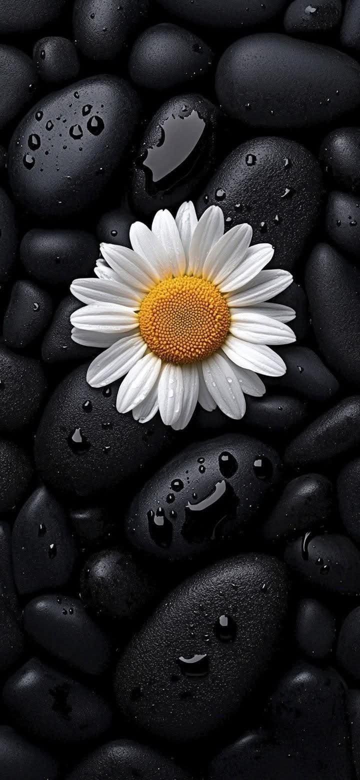 Awesome Floral Natural wallpaper (87)