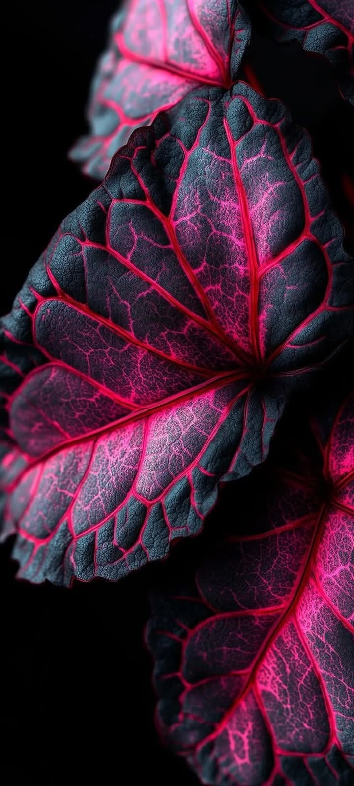 Awesome Floral Natural wallpaper (91)
