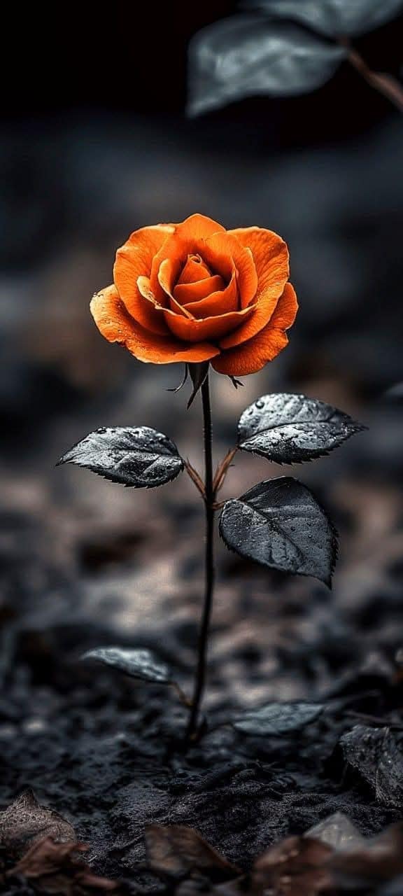 Awesome Floral Natural wallpaper (98)