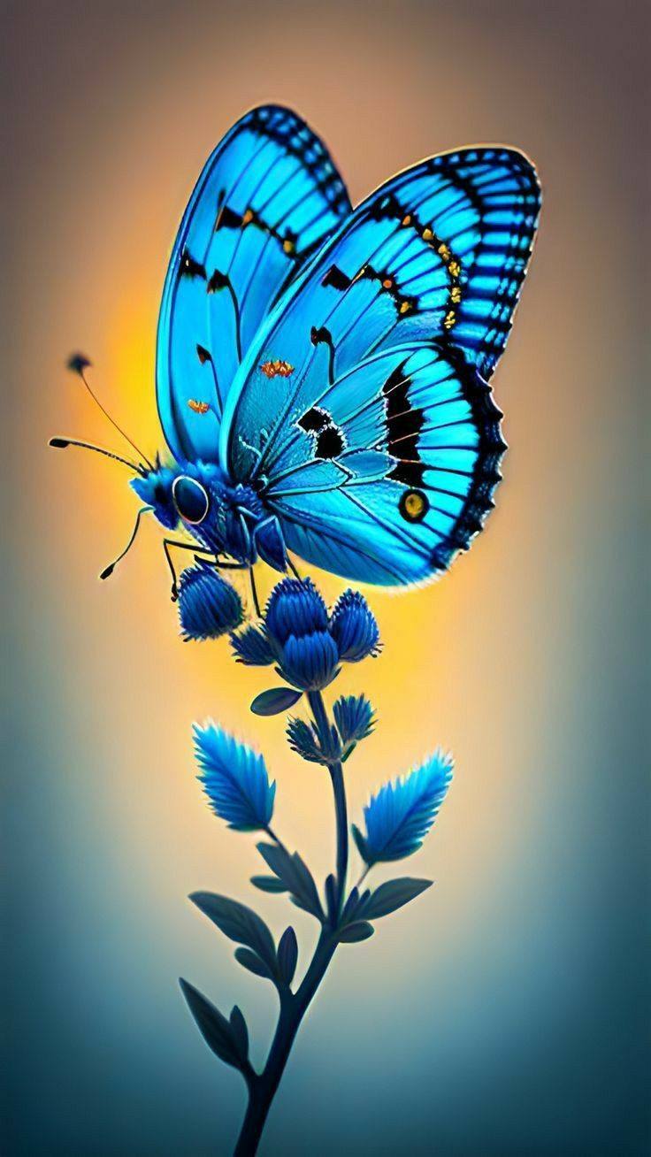 Flowers and Butterfly (18)
