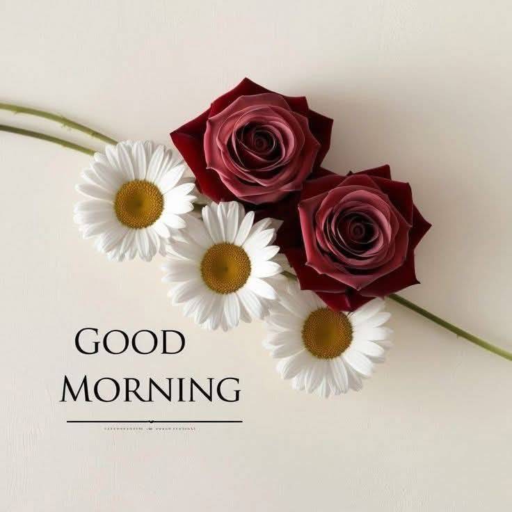 Good Morning Gretting Card (3)