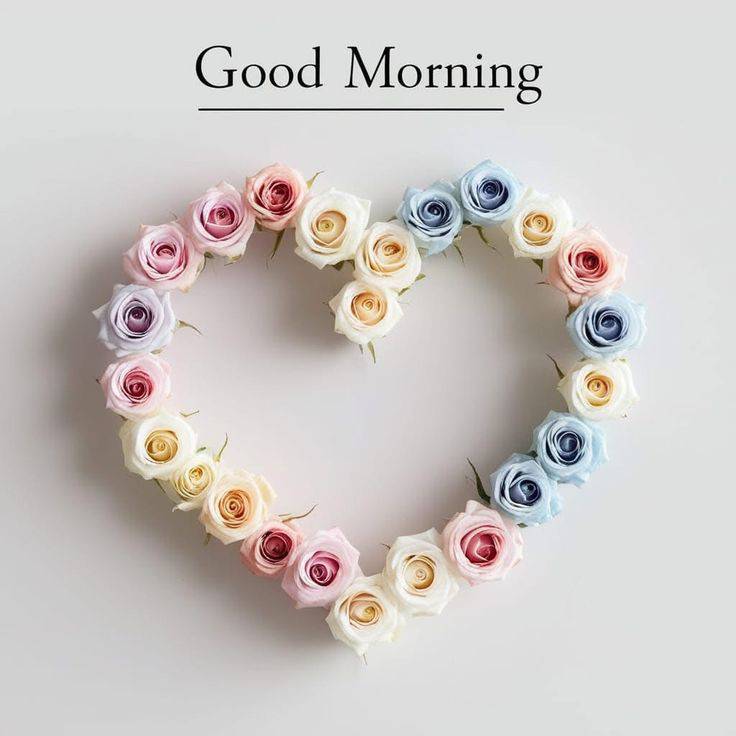 Good Morning Gretting Card (12)