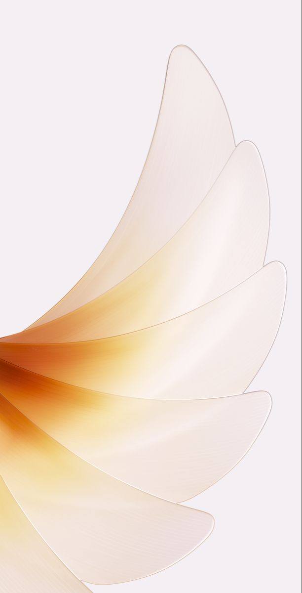 Creative Abstract Art Portrait Background (32)