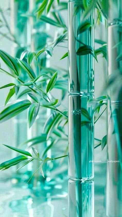 Natural Cute and Bamboo Wallpaper Image (11)
