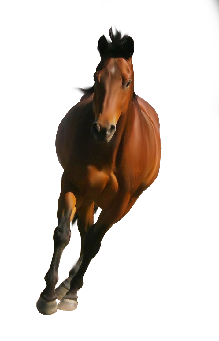 Animal PNG Image Running Horse