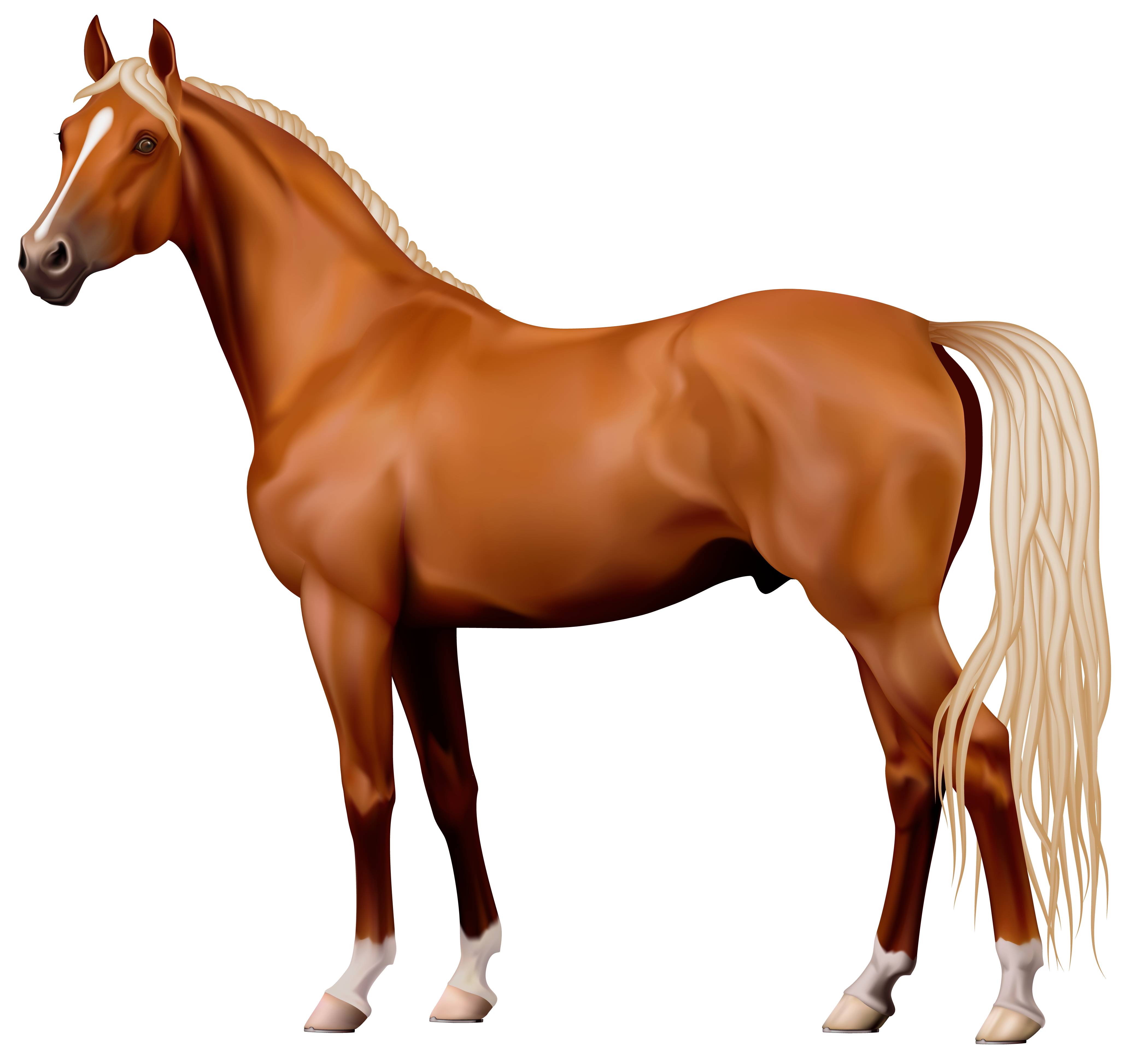 Animal PNG Image Standing Horse