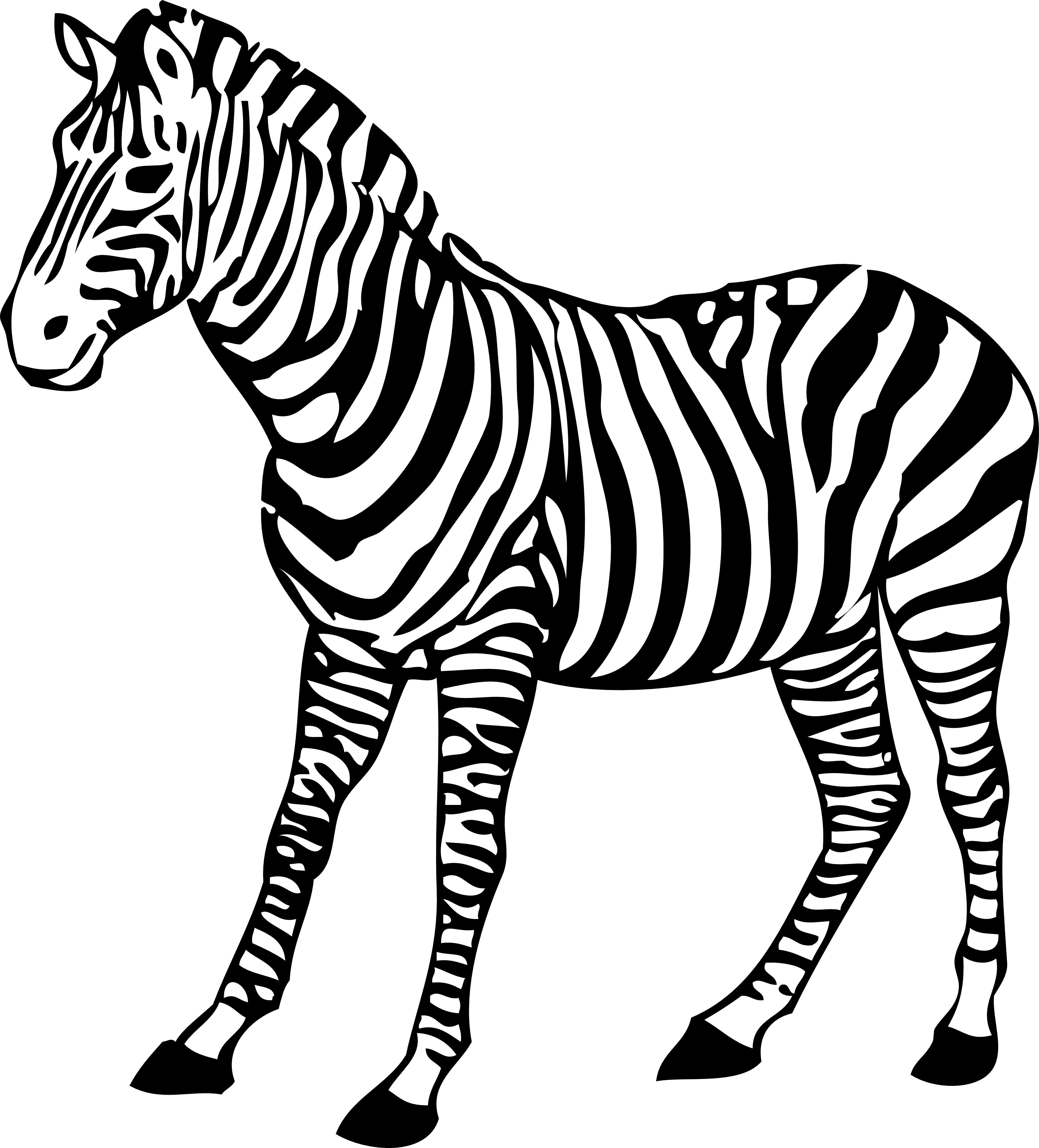 Animal PNG Image Zebra
